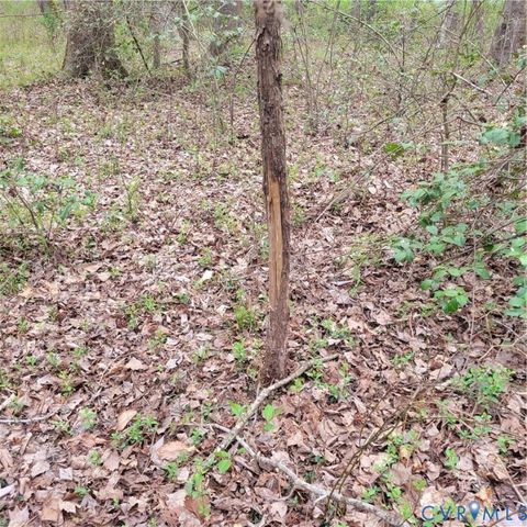 Tiny photo for N/A Spring Garden Road, King & Queen, VA 23085 (MLS # 2612809)
