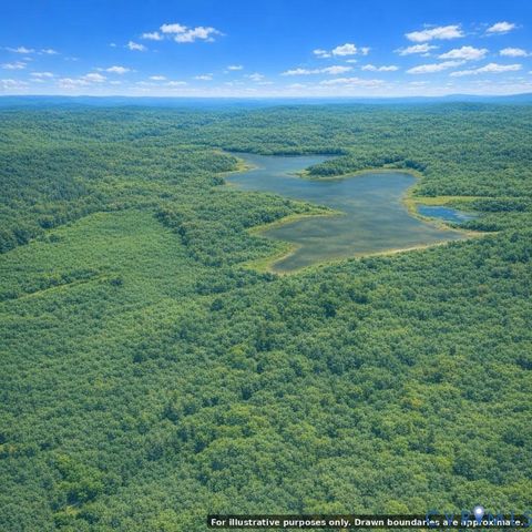 Tiny photo for N/A Spring Garden Road, King & Queen, VA 23085 (MLS # 2612809)