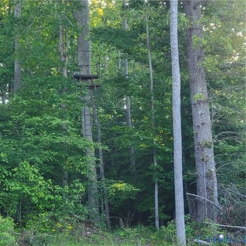 Tiny photo for N/A Spring Garden Road, King & Queen, VA 23085 (MLS # 2612809)