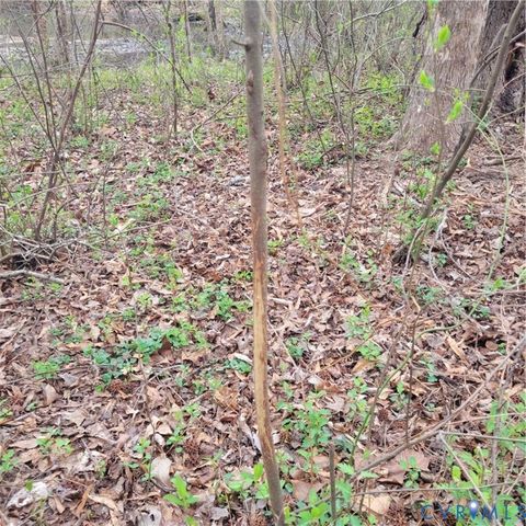 Tiny photo for N/A Spring Garden Road, King & Queen, VA 23085 (MLS # 2612809)