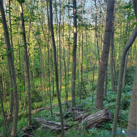 Tiny photo for N/A Spring Garden Road, King & Queen, VA 23085 (MLS # 2612809)