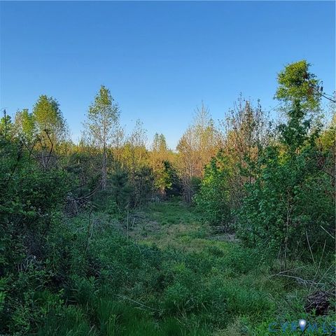 Tiny photo for N/A Spring Garden Road, King & Queen, VA 23085 (MLS # 2612809)