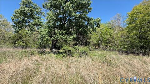 Tiny photo for 0 Craig Creek Road, Eagle Rock, VA 24085 (MLS # 2612173)