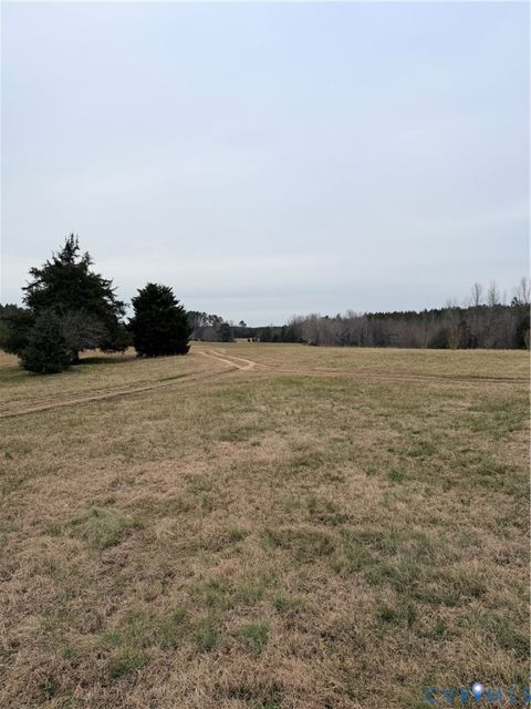 Tiny photo for 13401 Browns Road, Dinwiddie, VA 23833 (MLS # 2600195)