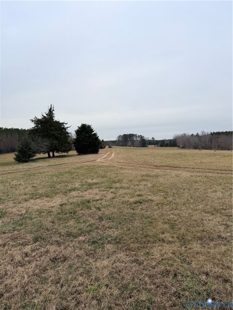 Tiny photo for 13401 Browns Road, Dinwiddie, VA 23833 (MLS # 2600195)