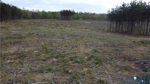 Tiny photo for 20.635 Acres Prince Edward Highway, Rice, VA 23966 (MLS # 2624682)