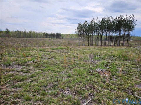 Photo of 20.635 Acres Prince Edward Highway, Rice, VA 23966 (MLS # 2624682)