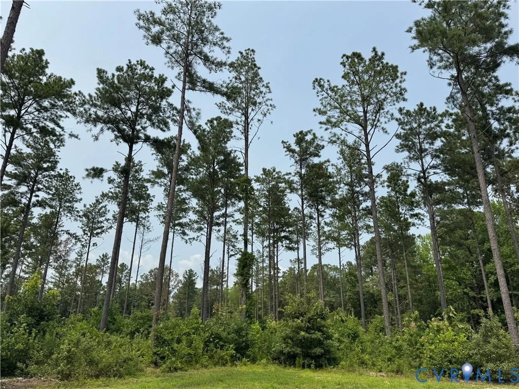 13545 Old Telegraph Road, Providence Forge, VA, 23140