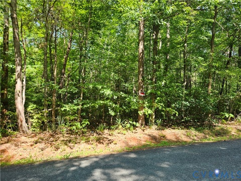 Tiny photo for 9 Ac Childress Road, Dillwyn, VA 23936 (MLS # 2617854)
