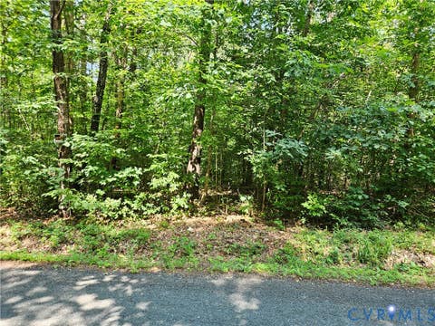 Tiny photo for 9 Ac Childress Road, Dillwyn, VA 23936 (MLS # 2617854)