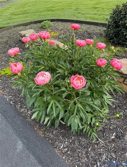 Tiny photo for 3828 Mill Mount Drive, Powhatan, VA 23139 (MLS # 2603741)