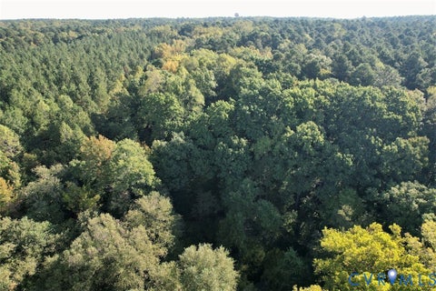Tiny photo for 1109 W Entrance Road, Blackstone, VA 23824 (MLS # 2628646)