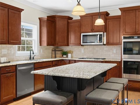 Tiny photo for 16013 Hidden Sedge Court, Moseley, VA 23120 (MLS # 2603424)