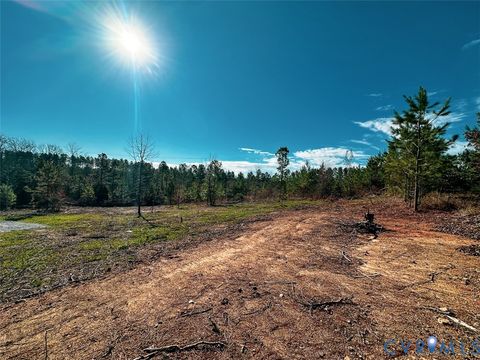 Tiny photo for 12.66 Acres (Off Of) Waqua Creek Road, Rawlings, VA 23876 (MLS # 2606037)