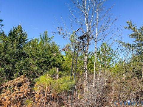 Tiny photo for 12.66 Acres (Off Of) Waqua Creek Road, Rawlings, VA 23876 (MLS # 2606037)