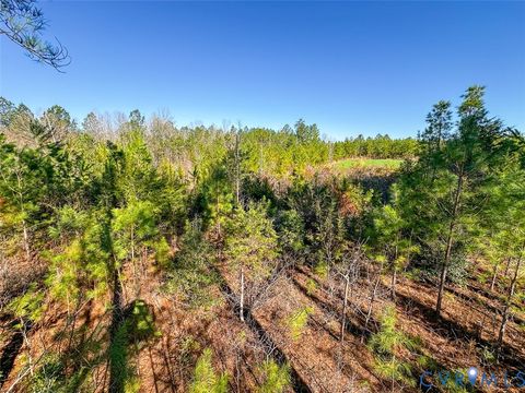 Tiny photo for 12.66 Acres (Off Of) Waqua Creek Road, Rawlings, VA 23876 (MLS # 2606037)