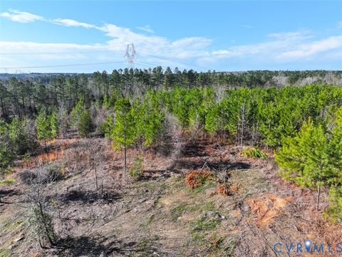 Tiny photo for 12.66 Acres (Off Of) Waqua Creek Road, Rawlings, VA 23876 (MLS # 2606037)