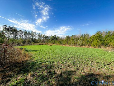 Tiny photo for 12.66 Acres (Off Of) Waqua Creek Road, Rawlings, VA 23876 (MLS # 2606037)
