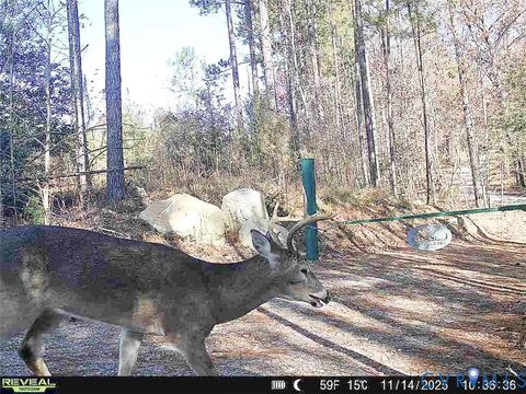 Tiny photo for 12.66 Acres (Off Of) Waqua Creek Road, Rawlings, VA 23876 (MLS # 2606037)