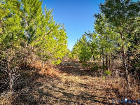Tiny photo for 12.66 Acres (Off Of) Waqua Creek Road, Rawlings, VA 23876 (MLS # 2606037)