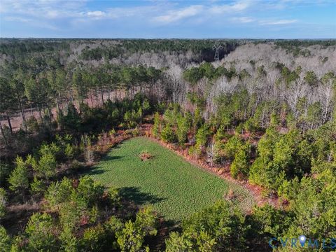 Tiny photo for 12.66 Acres (Off Of) Waqua Creek Road, Rawlings, VA 23876 (MLS # 2606037)