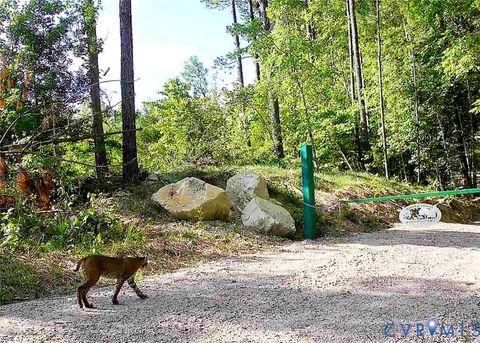 Tiny photo for 12.66 Acres (Off Of) Waqua Creek Road, Rawlings, VA 23876 (MLS # 2606037)