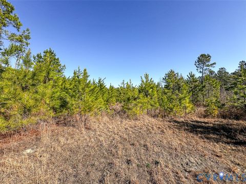 Tiny photo for 12.66 Acres (Off Of) Waqua Creek Road, Rawlings, VA 23876 (MLS # 2606037)