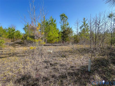 Tiny photo for 12.66 Acres (Off Of) Waqua Creek Road, Rawlings, VA 23876 (MLS # 2606037)