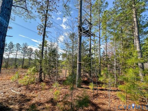 Tiny photo for 12.66 Acres (Off Of) Waqua Creek Road, Rawlings, VA 23876 (MLS # 2606037)