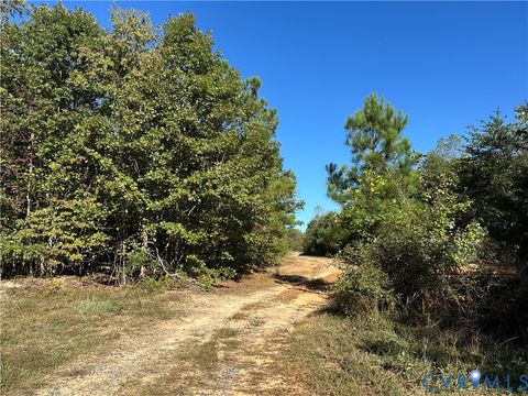 Tiny photo for 438 Mountain Top Road, New Canton, VA 23123 (MLS # 2528517)