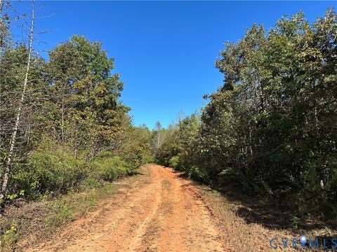 Photo of 438 Mountain Top Road, New Canton, VA 23123 (MLS # 2528517)
