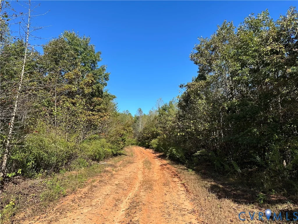 438 Mountain Top Road, New Canton, VA, 23123