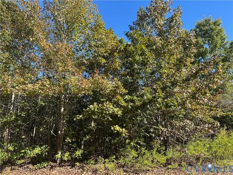 Tiny photo for 438 Mountain Top Road, New Canton, VA 23123 (MLS # 2528517)