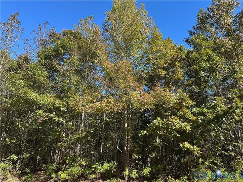 Tiny photo for 438 Mountain Top Road, New Canton, VA 23123 (MLS # 2528517)