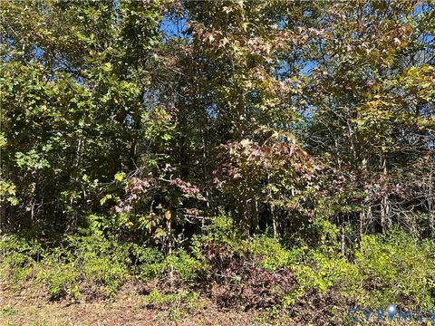 Tiny photo for 438 Mountain Top Road, New Canton, VA 23123 (MLS # 2528517)