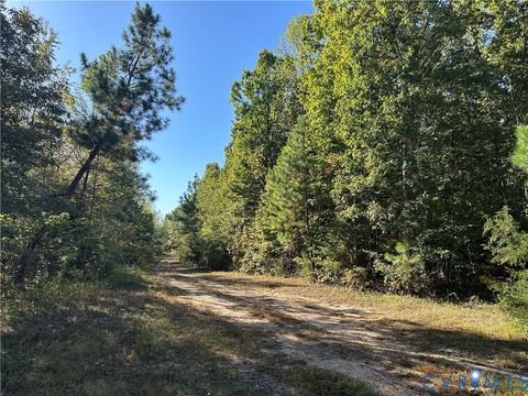 Tiny photo for 438 Mountain Top Road, New Canton, VA 23123 (MLS # 2528517)