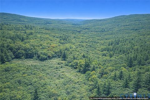 Tiny photo for n/a Spring Garden Road, King & Queen, VA 23085 (MLS # 2612703)