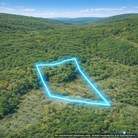 Tiny photo for n/a Spring Garden Road, King & Queen, VA 23085 (MLS # 2612703)