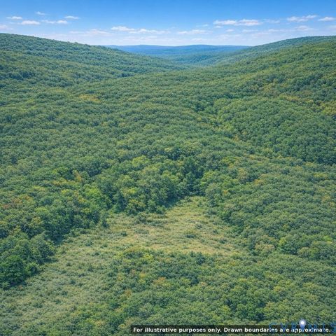 Tiny photo for n/a Spring Garden Road, King & Queen, VA 23085 (MLS # 2612703)