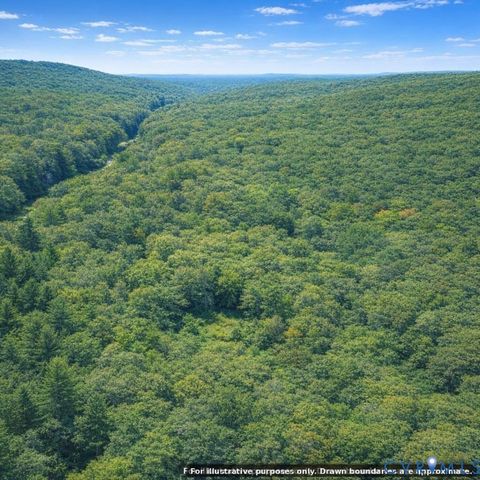 Tiny photo for n/a Spring Garden Road, King & Queen, VA 23085 (MLS # 2612703)