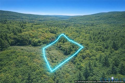 Tiny photo for n/a Spring Garden Road, King & Queen, VA 23085 (MLS # 2612703)