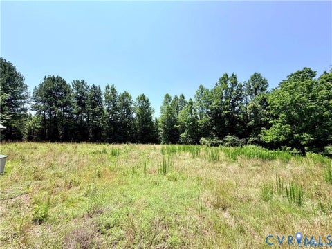 Tiny photo for 890 Mechanic Drive, Dolphin, VA 23843 (MLS # 2626713)