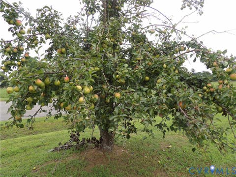 Tiny photo for 2137 Good Hope Road, Crewe, VA 23930 (MLS # 2622345)