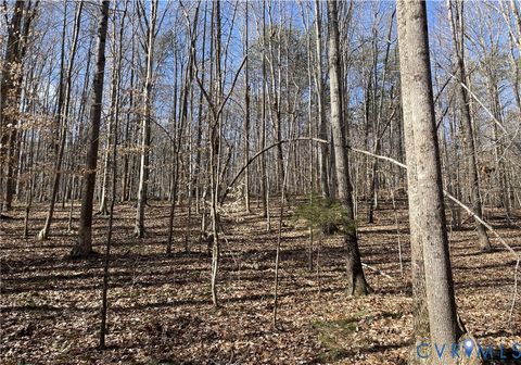 Tiny photo for 8.2AC Plantersville, Drakes Branch, VA 23937 (MLS # 2605787)
