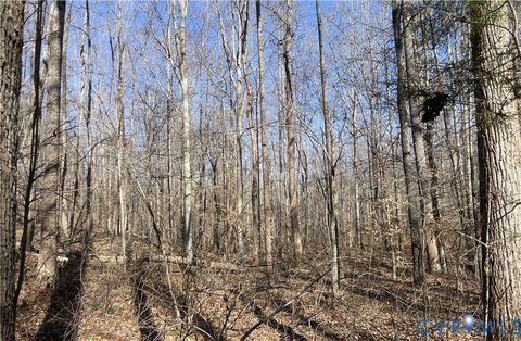Tiny photo for 8.2AC Plantersville, Drakes Branch, VA 23937 (MLS # 2605787)