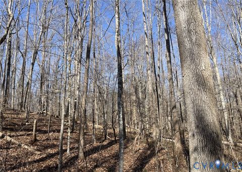 Tiny photo for 8.2AC Plantersville, Drakes Branch, VA 23937 (MLS # 2605787)