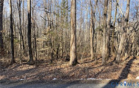 Tiny photo for 8.2AC Plantersville, Drakes Branch, VA 23937 (MLS # 2605787)