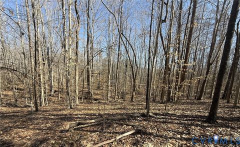 Tiny photo for 8.2AC Plantersville, Drakes Branch, VA 23937 (MLS # 2605787)