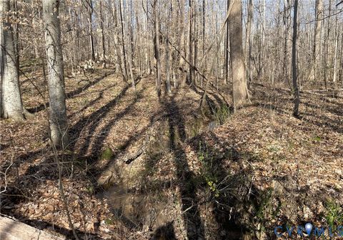 Tiny photo for 8.2AC Plantersville, Drakes Branch, VA 23937 (MLS # 2605787)
