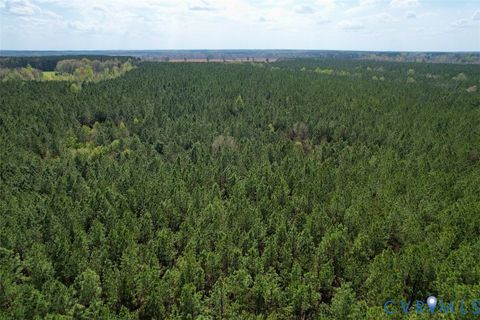 Tiny photo for 1201 Wills Lane, Blackstone, VA 22824 (MLS # 2607800)